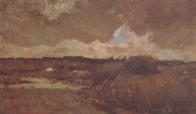 Vincent Van Gogh Marshy Landscape (nn04) Sweden oil painting art